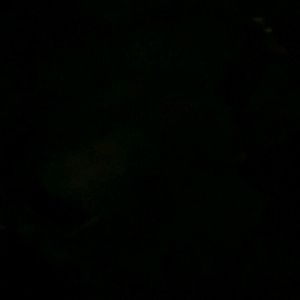 Meet your Posher, Yuliana